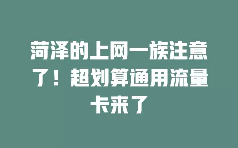 菏泽的上网一族注意了！超划算通用流量卡来了