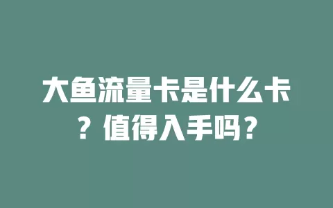 大鱼流量卡是什么卡？值得入手吗？