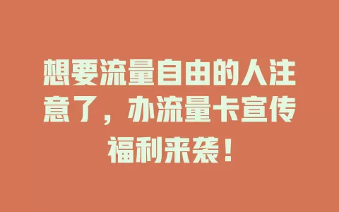 想要流量自由的人注意了，办流量卡宣传福利来袭！