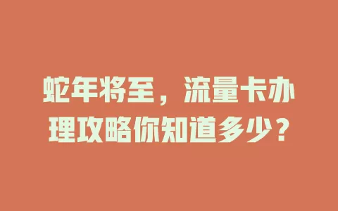 蛇年将至，流量卡办理攻略你知道多少？