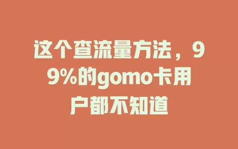 这个查流量方法，99%的gomo卡用户都不知道