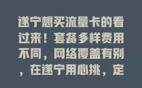 遂宁想买流量卡的看过来！套餐多样费用不同，网络覆盖有别，在遂宁用心挑，定能找到适合自己的流量卡畅享便捷网络生活