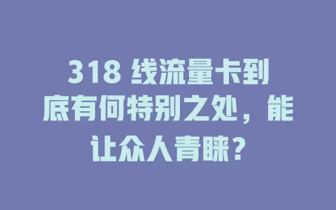 318 线流量卡到底有何特别之处，能让众人青睐？