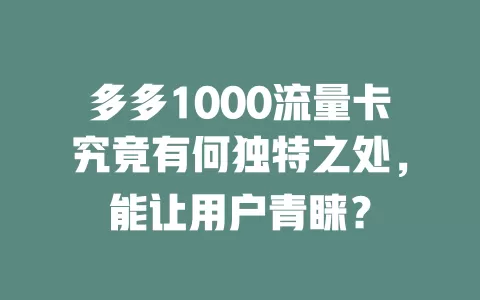 多多1000流量卡究竟有何独特之处，能让用户青睐？