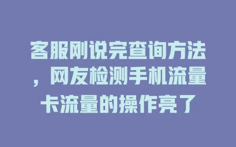 客服刚说完查询方法，网友检测手机流量卡流量的操作亮了