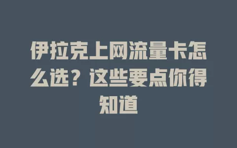 伊拉克上网流量卡怎么选？这些要点你得知道
