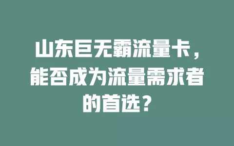 山东巨无霸流量卡,能否成为流量需求者的首选?