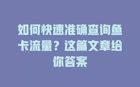 如何快速准确查询鱼卡流量？这篇文章给你答案