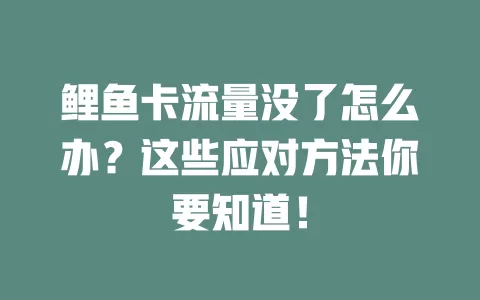 鲤鱼卡流量没了怎么办？这些应对方法你要知道！