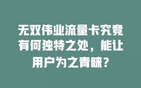 无双伟业流量卡究竟有何独特之处，能让用户为之青睐？