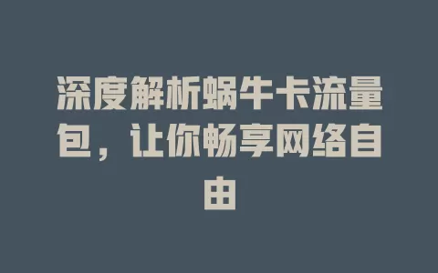 深度解析蜗牛卡流量包，让你畅享网络自由