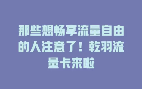 那些想畅享流量自由的人注意了！乾羽流量卡来啦