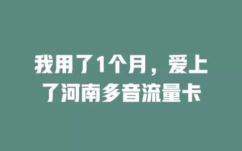 我用了1个月,爱上了河南多音流量卡