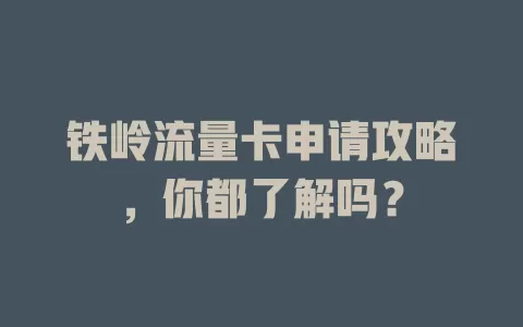 铁岭流量卡申请攻略，你都了解吗？