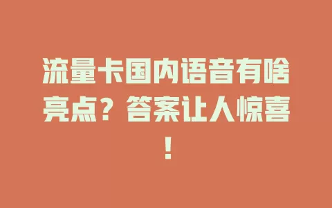 流量卡国内语音有啥亮点？答案让人惊喜！