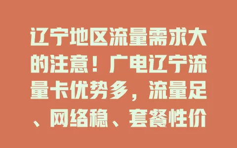 辽宁地区流量需求大的注意！广电辽宁流量卡优势多，流量足、网络稳、套餐性价比高，助你数字世界畅游