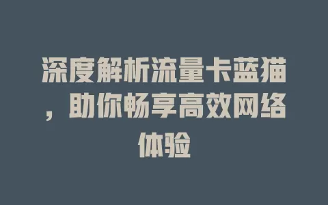 深度解析流量卡蓝猫，助你畅享高效网络体验