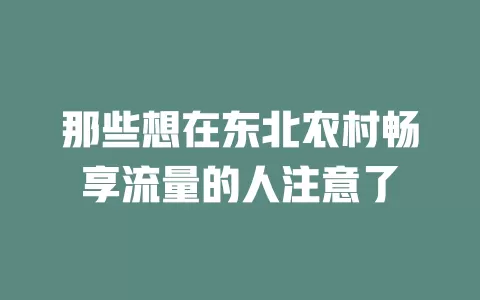 那些想在东北农村畅享流量的人注意了