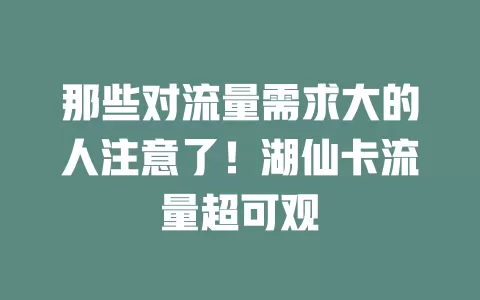 那些对流量需求大的人注意了！湖仙卡流量超可观