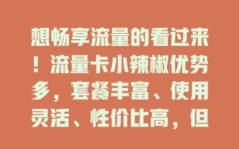 想畅享流量的看过来！流量卡小辣椒优势多，套餐丰富、使用灵活、性价比高，但选时要留意相关事项，它是追求优质流量体验者的不错之选