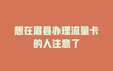 想在眉县办理流量卡的人注意了
