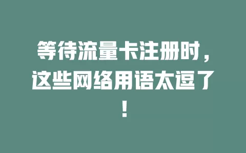 等待流量卡注册时，这些网络用语太逗了！