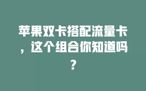 苹果双卡搭配流量卡，这个组合你知道吗？