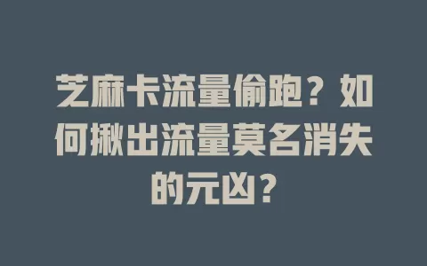 芝麻卡流量偷跑？如何揪出流量莫名消失的元凶？