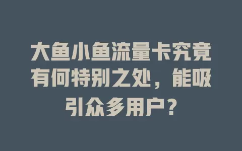 大鱼小鱼流量卡究竟有何特别之处，能吸引众多用户？