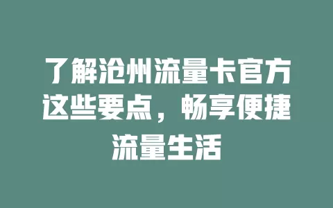 了解沧州流量卡官方这些要点，畅享便捷流量生活