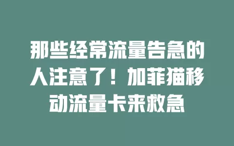 那些经常流量告急的人注意了！加菲猫移动流量卡来救急