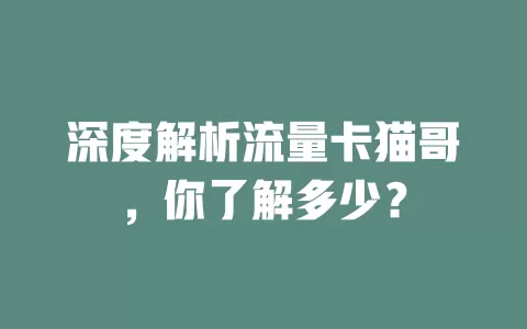 深度解析流量卡猫哥，你了解多少？