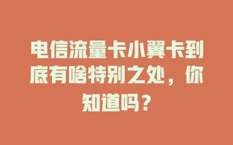 电信流量卡小翼卡到底有啥特别之处，你知道吗？