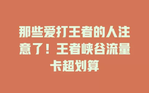 那些爱打王者的人注意了！王者峡谷流量卡超划算