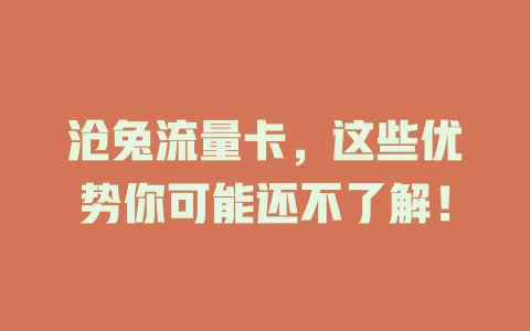 沧兔流量卡，这些优势你可能还不了解！