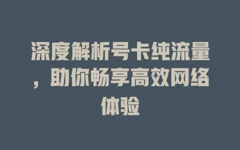 深度解析号卡纯流量，助你畅享高效网络体验