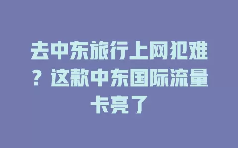 去中东旅行上网犯难？这款中东国际流量卡亮了