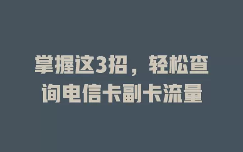 掌握这3招，轻松查询电信卡副卡流量