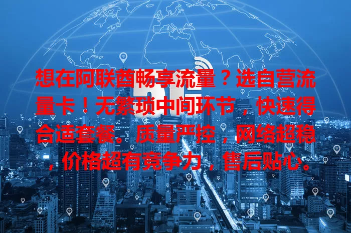 想在阿联酋畅享流量？选自营流量卡！无繁琐中间环节，快速得合适套餐。质量严控，网络超稳，价格超有竞争力，售后贴心。选它享便捷优质经济网络服务，随时与世界紧密相连！