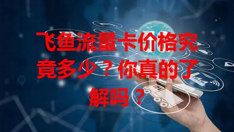 飞鱼流量卡价格究竟多少？你真的了解吗？