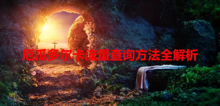 厄瓜多尔卡流量查询方法全解析