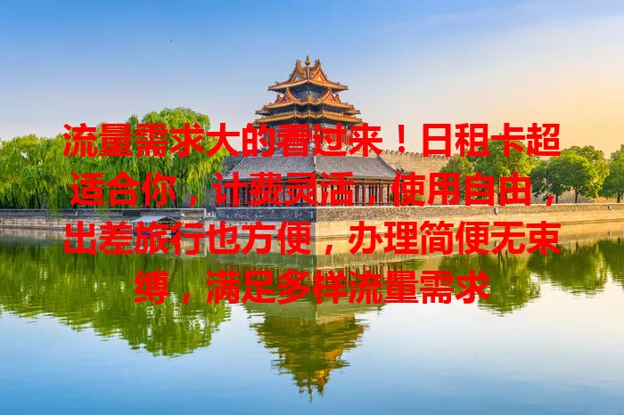 流量需求大的看过来！日租卡超适合你，计费灵活，使用自由，出差旅行也方便，办理简便无束缚，满足多样流量需求