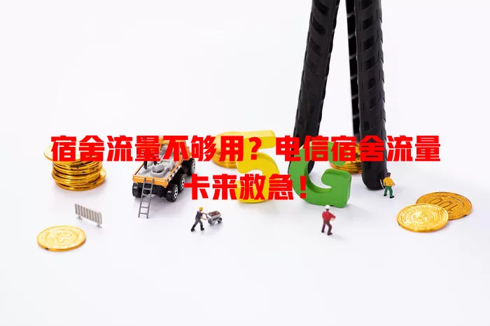 宿舍流量不够用？电信宿舍流量卡来救急！