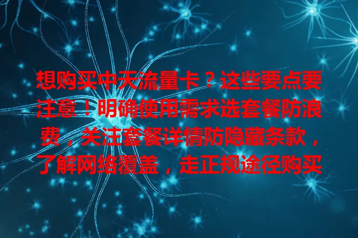 想购买中天流量卡？这些要点要注意！明确使用需求选套餐防浪费，关注套餐详情防隐藏条款，了解网络覆盖，走正规途径购买，多方面考量谨慎选，畅享顺畅网络！