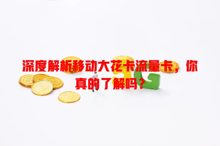深度解析移动大花卡流量卡，你真的了解吗？