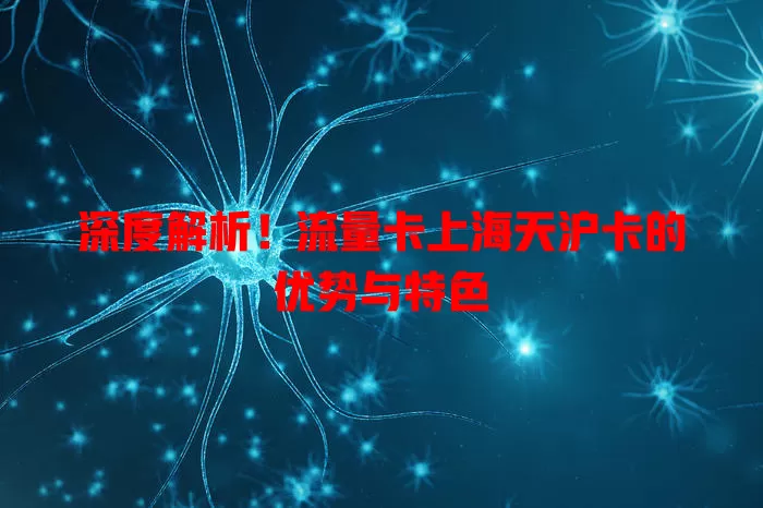 深度解析！流量卡上海天沪卡的优势与特色