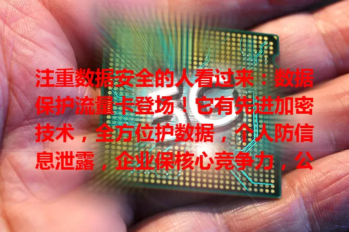 注重数据安全的人看过来：数据保护流量卡登场！它有先进加密技术，全方位护数据，个人防信息泄露，企业保核心竞争力，公共场所也能安心上网啦！