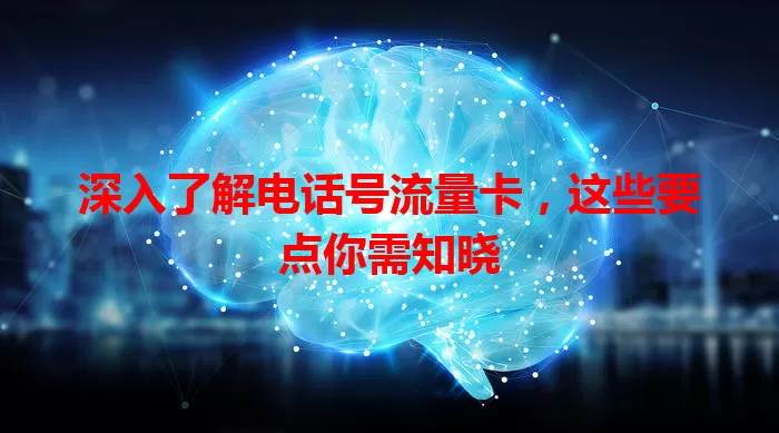 深入了解电话号流量卡，这些要点你需知晓