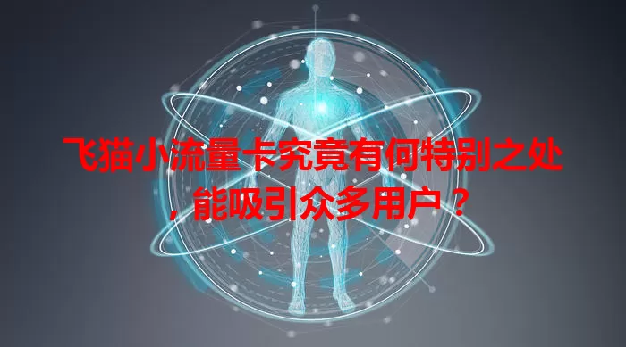 飞猫小流量卡究竟有何特别之处，能吸引众多用户？