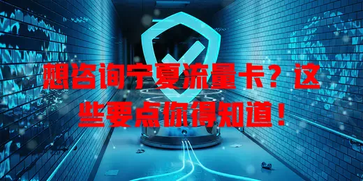 想咨询宁夏流量卡？这些要点你得知道！